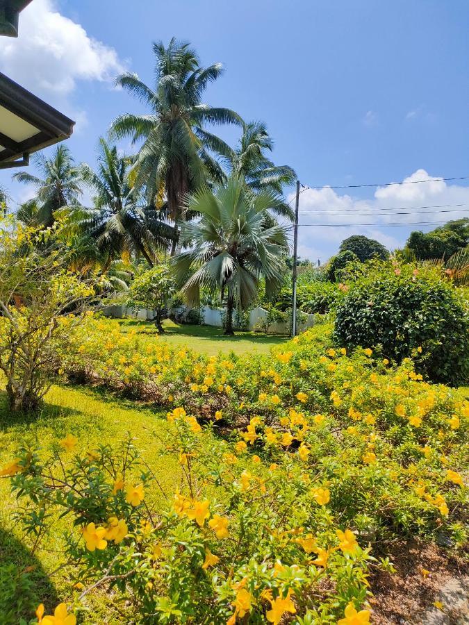 Villa Luana Yuna Au Cap Exterior photo