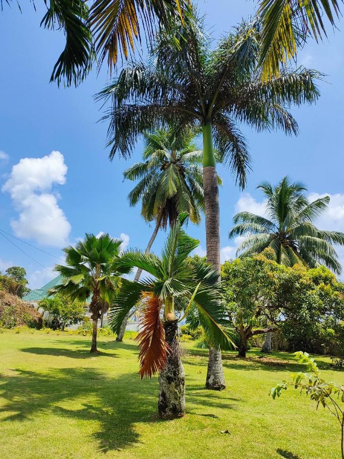 Villa Luana Yuna Au Cap Exterior photo