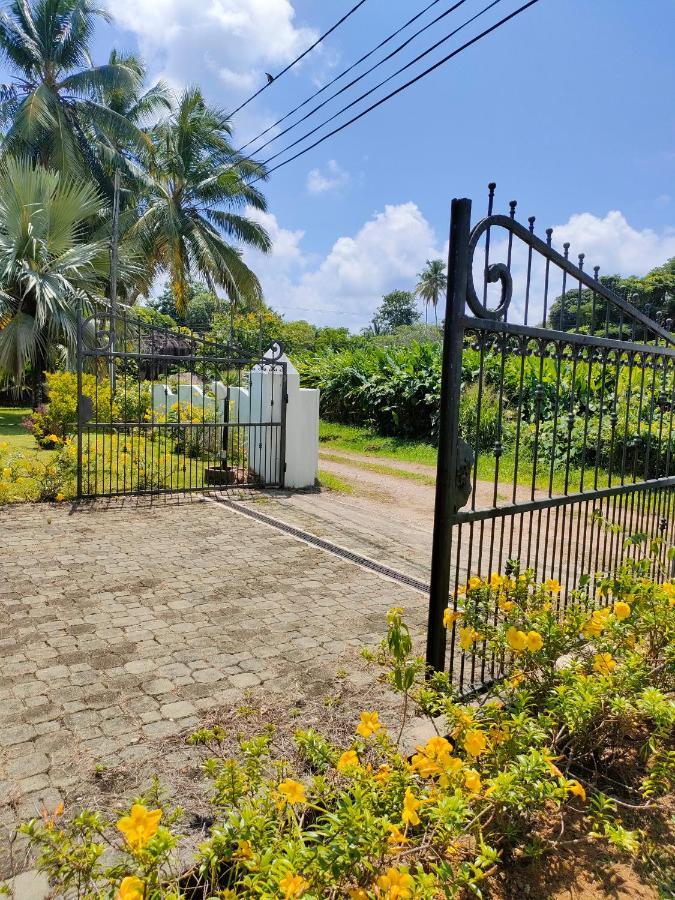 Villa Luana Yuna Au Cap Exterior photo